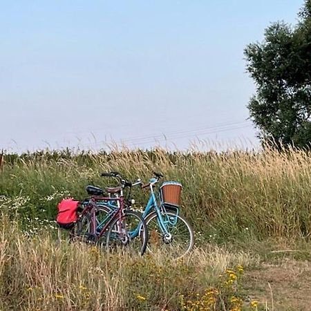 Lwb Ferienwohnung "Auszeit Im Denkmal" Wittenberg Buitenkant foto