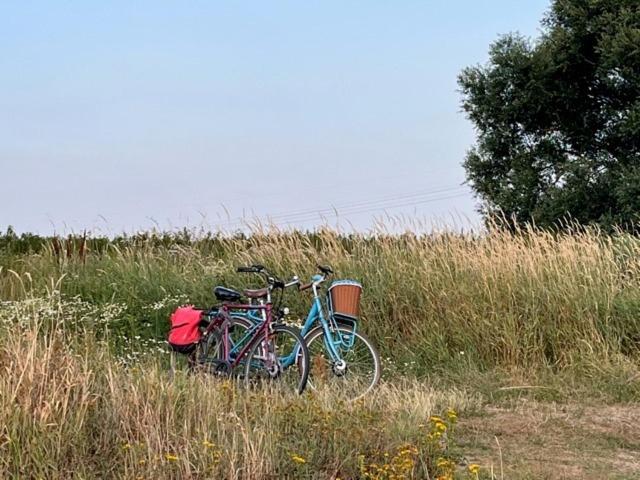 Lwb Ferienwohnung "Auszeit Im Denkmal" Wittenberg Buitenkant foto